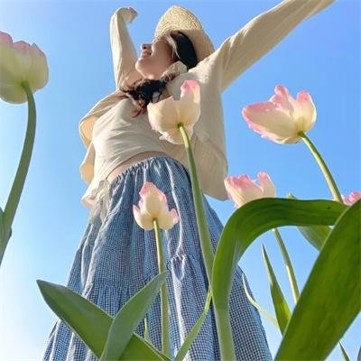 飞机总动员2：打火英雄